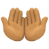 🤲🏽 palms up together: medium skin tone display on Facebook